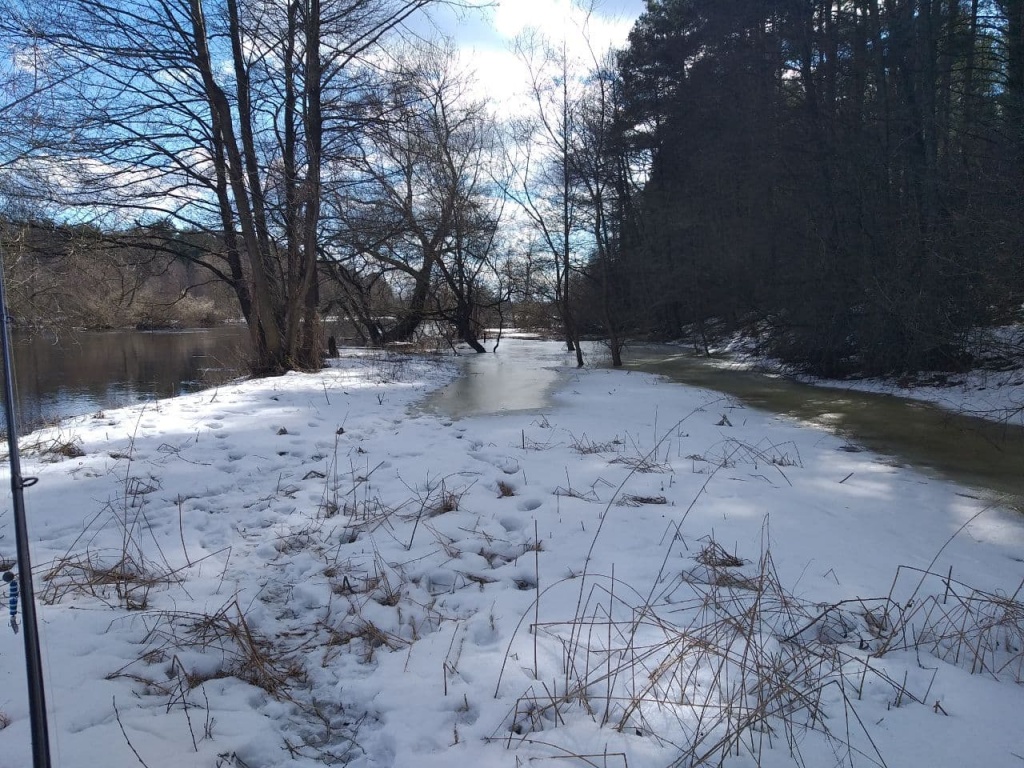 Ходовая ловля фидером по холодной воде весной (3).jpg